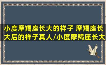 小度摩羯座长大的样子 摩羯座长大后的样子真人/小度摩羯座长大的样子 摩羯座长大后的样子真人-我的网站